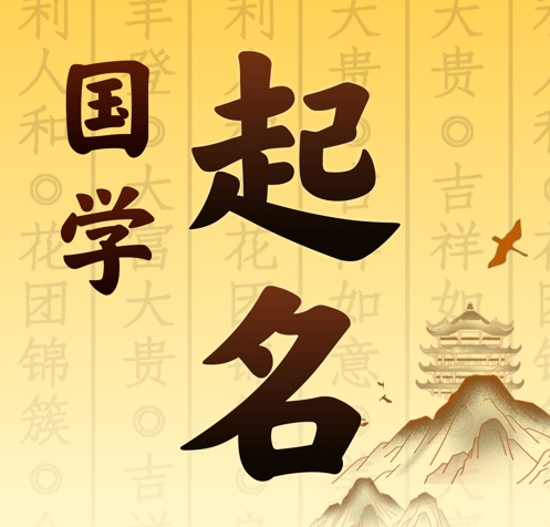 融安国学起名 人工起名一对一